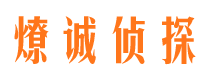 金阊市私家侦探